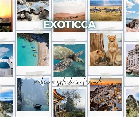 exoticca canada reviews.